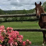 Le Grand Clos De Saint Martin Genneville