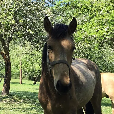 Le Grand Clos De Saint Martin Vakantiehuis *