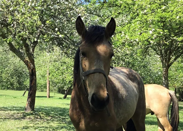 Le Grand Clos De Saint Martin Vakantiehuis *