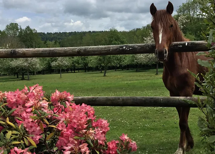 Le Grand Clos De Saint Martin Genneville